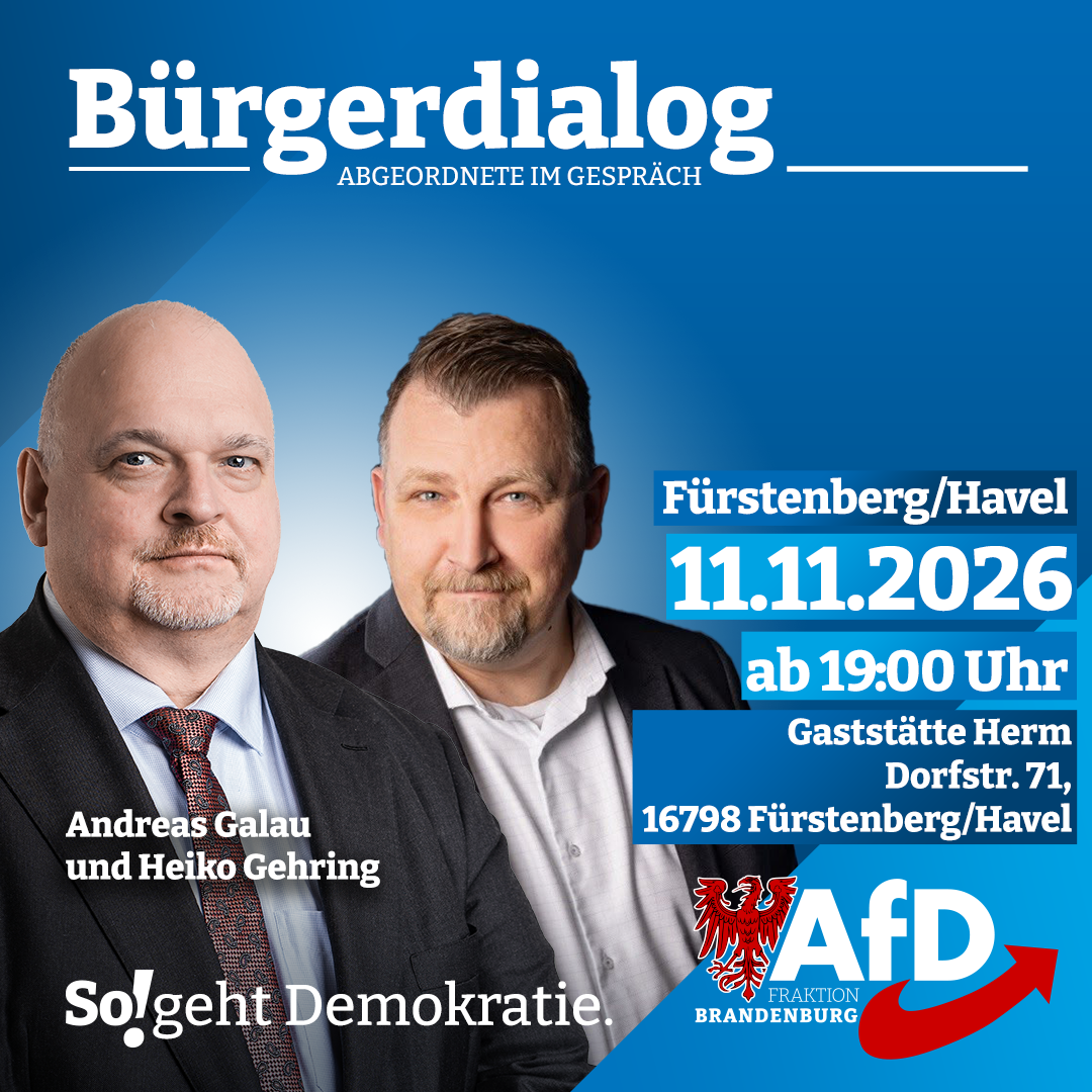 AfD-Bürgerdialog in Fürstenberg/Havel