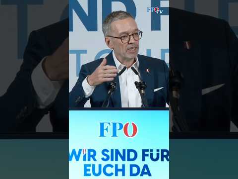 Es hat sich AUSGEAMPELT! 🚦❌