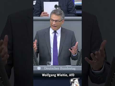 „20 Cent weniger pro Liter Sprit – Entlastung für die Autofahrer wird es nur mit der AfD geben!“