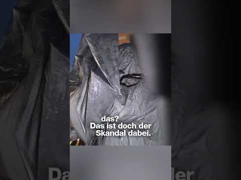 Streiten über recht auf filmen bei demo  #björnbanane #alternativemedien #afd #klartext