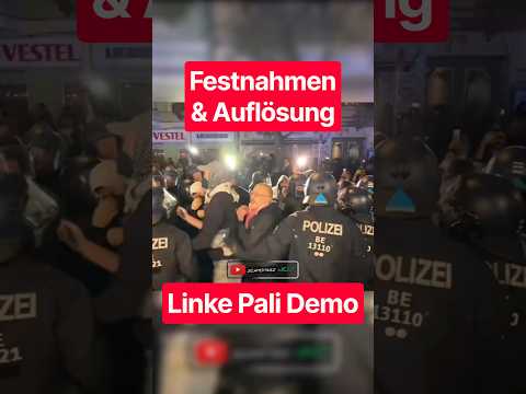 Festnahmen + Auflösung der Demo | Linke Pali Demo | 07.10.2026