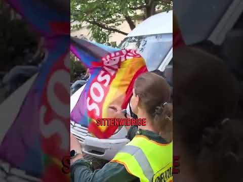 Nötigungs Vorwurf eskaliert in Beleidigungen  #björnbanane #alternativemedien #afd #klart