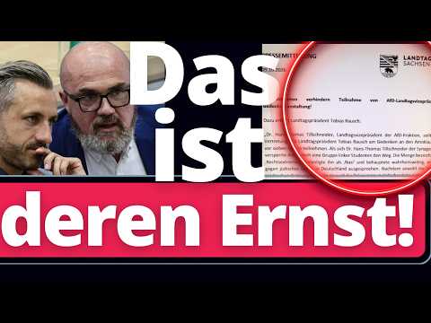 EIL: AfD Sachsen-Anhalt treibt Mainstream in den kollektiven Wahnsinn!