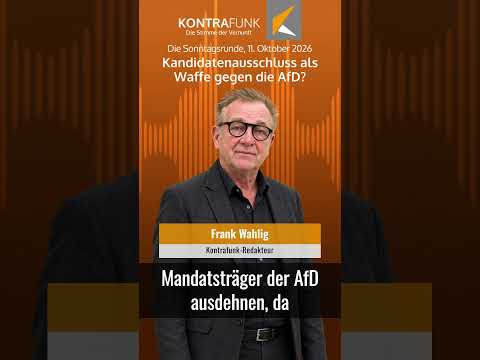 Kandidatenausschluss als Waffe gegen die AfD?