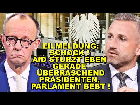EIL: AfD STÜRZT eben PRÄSIDENTEN!