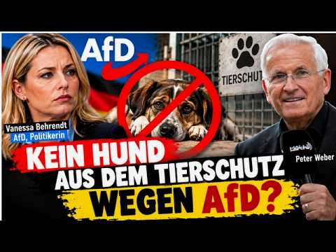 Kein Hund für die AFD: Tierschutzverein verweigert AFD-Politikerin einen Hund- Was denkt ihr?