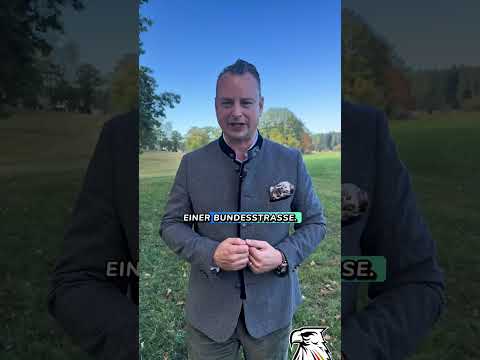 „Schüsse, Straßenblockaden, Verkehrschaos: Türkische Hochzeitskolonne außer Rand und Band!“